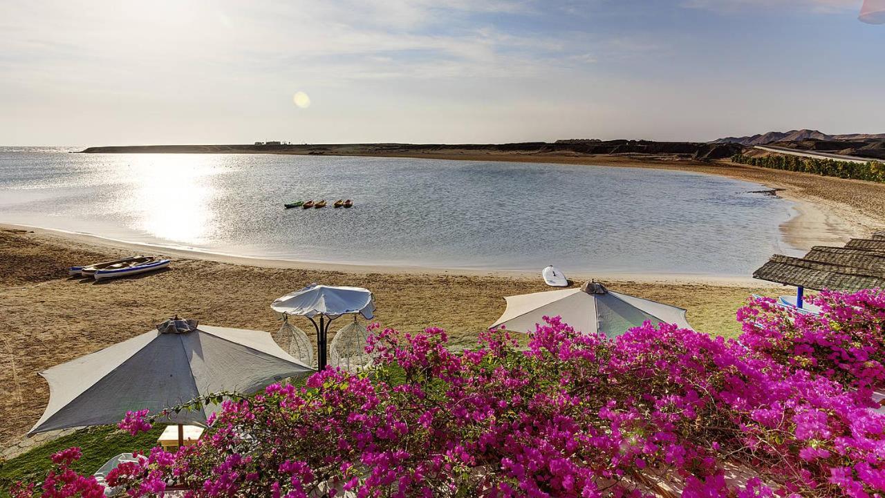 Tui Magic Life Kalawy Otel Hurgada Dış mekan fotoğraf