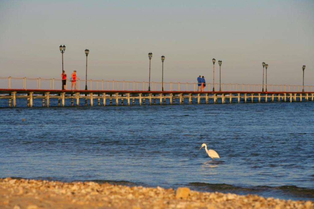 Tui Magic Life Kalawy Otel Hurgada Dış mekan fotoğraf