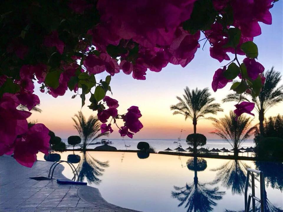 Tui Magic Life Kalawy Otel Hurgada Dış mekan fotoğraf
